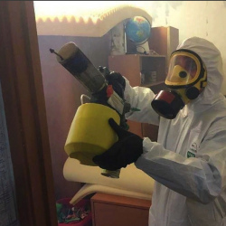 Уничтожение клопов в квартире. Сураж